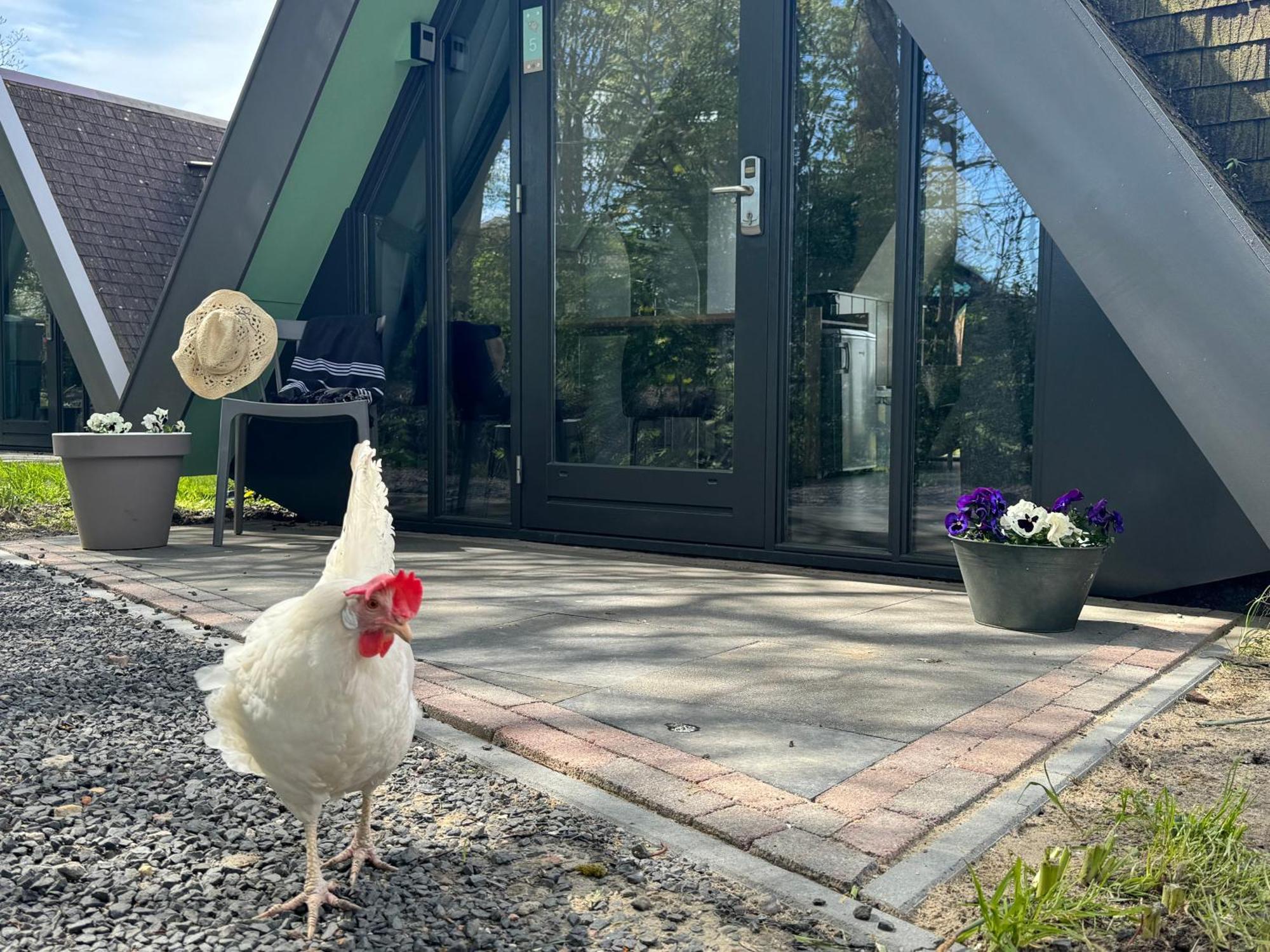 Hotelhuisjes Medemblik Wieringerwerf Εξωτερικό φωτογραφία