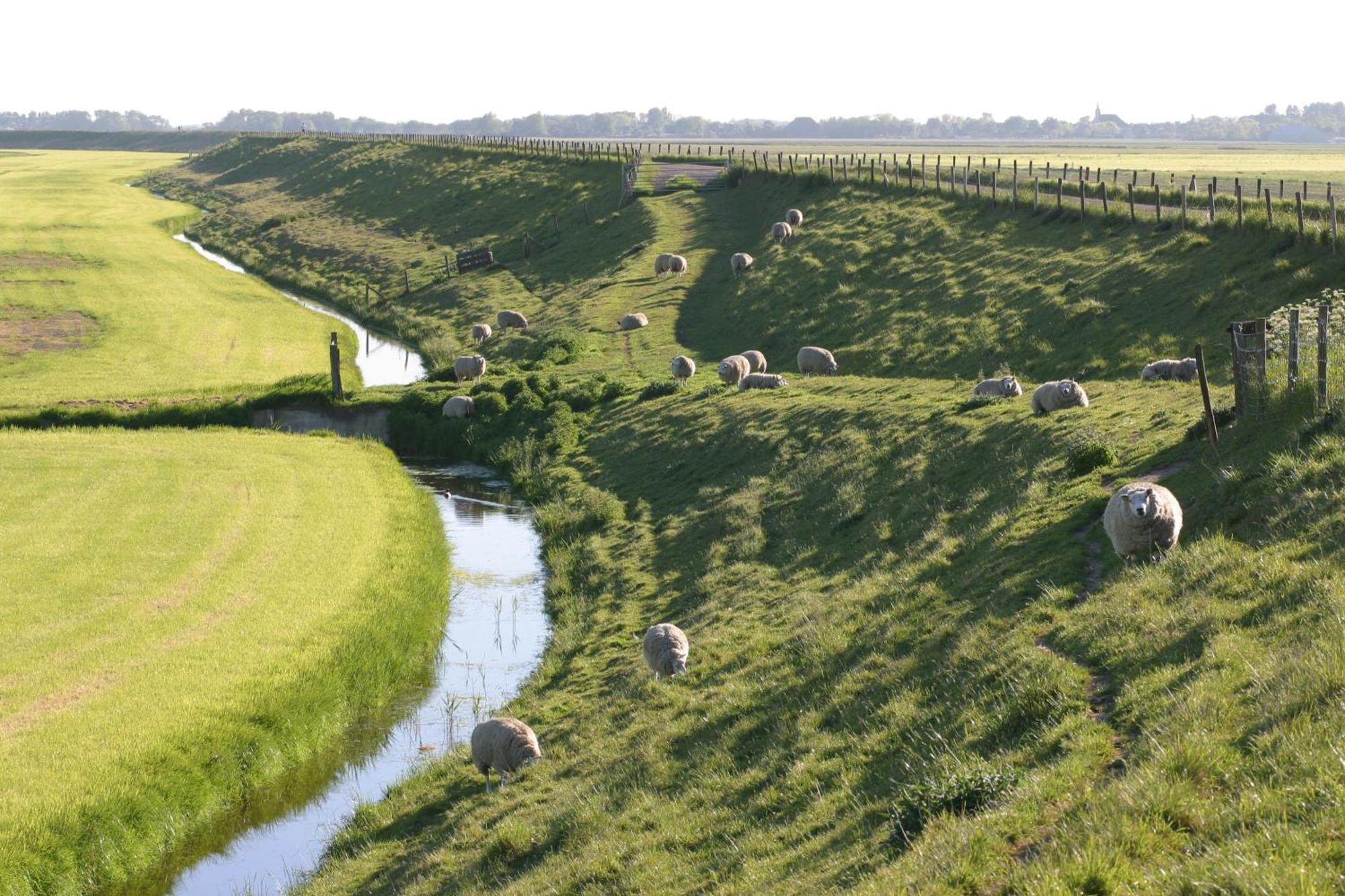 Hotelhuisjes Medemblik Wieringerwerf Εξωτερικό φωτογραφία
