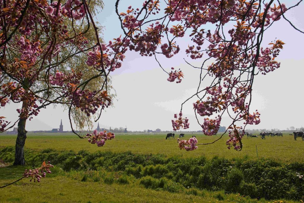 Hotelhuisjes Medemblik Wieringerwerf Εξωτερικό φωτογραφία
